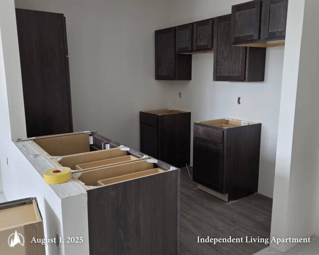 Apartment Living Kitchen