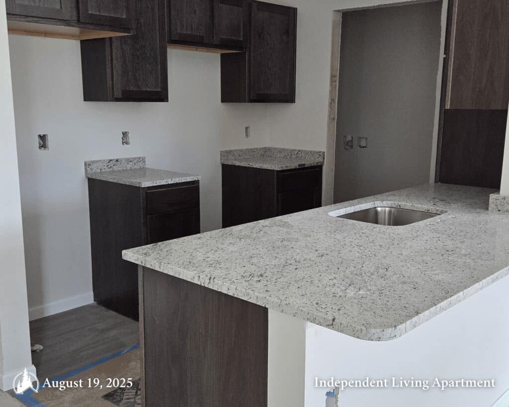 Independent Living Kitchen