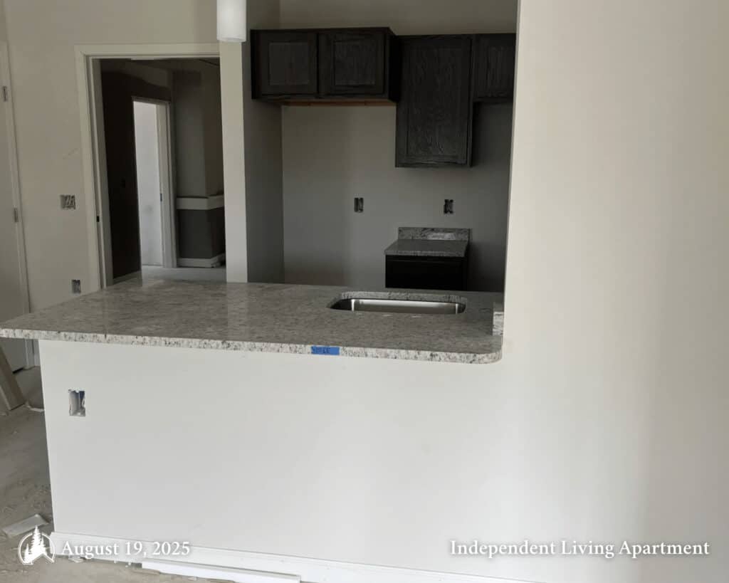 Independent Living Kitchen